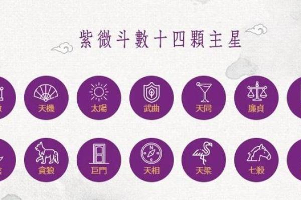 紫微斗数术语解释之：四化星