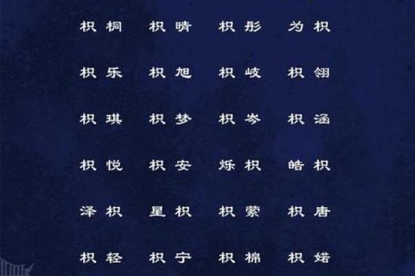生肖猪八字起名推荐，让宝宝更“吉”更吉利
