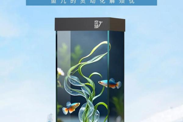 鱼缸的风水_送人鱼缸有什么说法