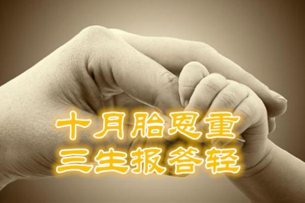 子女缘分测试免费查询 子女缘准吗？