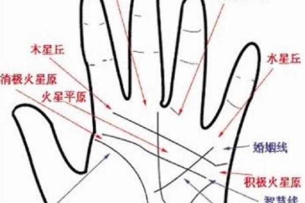 手纹线看相 手纹看相算命图解