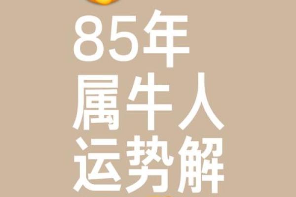 生肖算命牛
