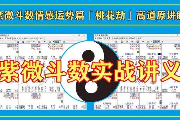 高道原紫微斗数实战网盘 高道原紫微斗数培训班？