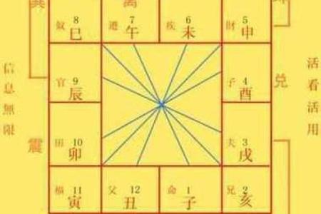 紫薇斗数父疾线看什么