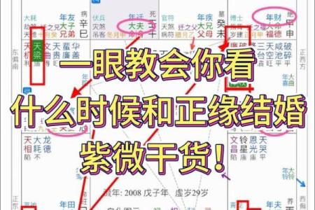 紫薇斗数看行运
