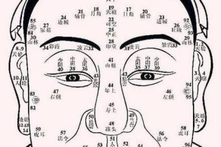面相风水_更好看的风水小说