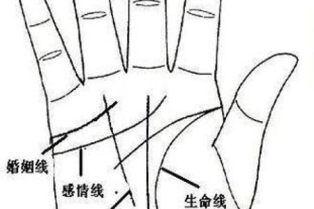 图解：手相中的智慧线算命