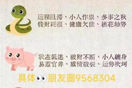 算命网周易免费 免费周易算命网可信吗