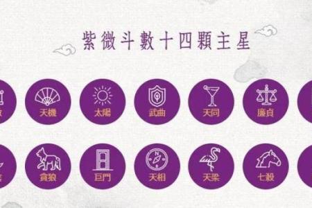 紫微斗数术语解释之：四化星