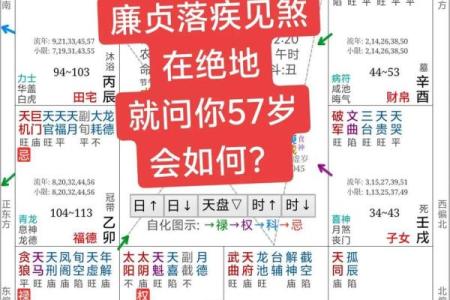 紫薇斗数算命详解