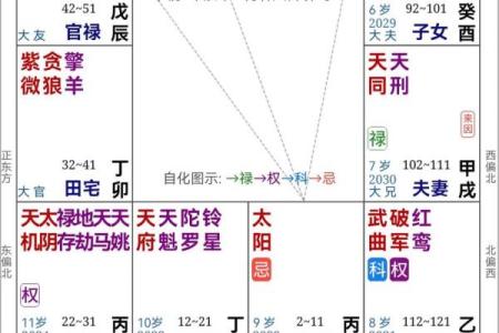 紫薇斗数宫位详解