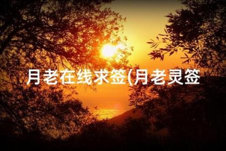 月老灵签求婚姻85签