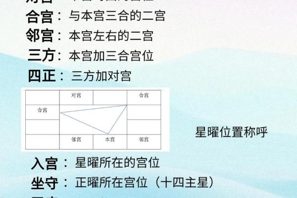 学紫薇斗数