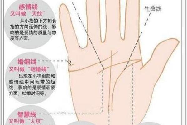 看手相算命图解：掌线