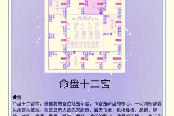 庄氏紫微斗数入门基础知识 庄氏资料？