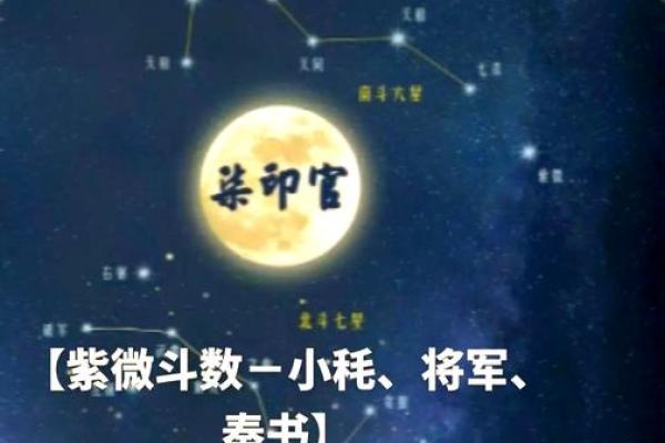 紫微斗数诸星落命宫之:大耗详解 紫微斗数诸星落命宫之:大耗详解