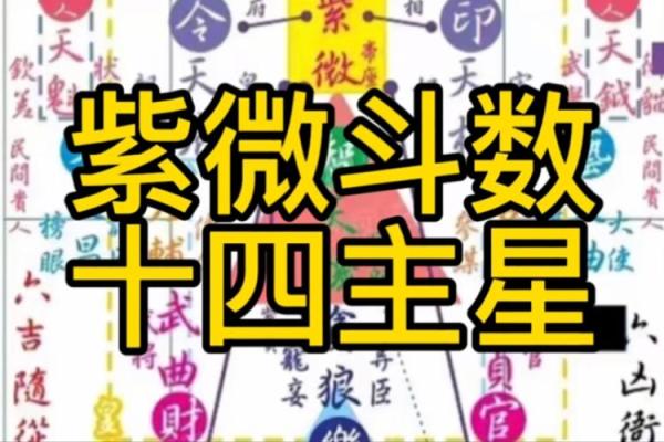 老紫薇斗数