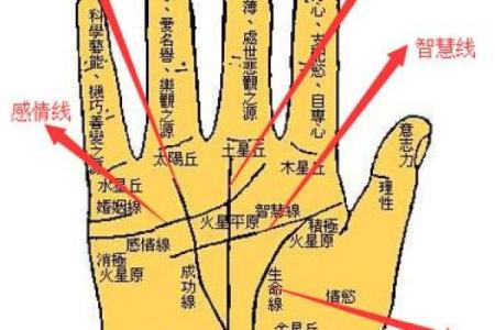 看手相算命：第三课 指头与掌型