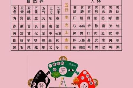 八字缺水就是财运不好么-从五行平衡去分析