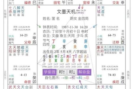 流年紫微斗数 流年紫微斗数星盘如何解析？