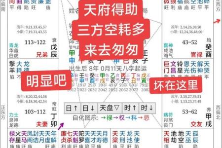紫薇斗数男顺女逆倪海厦