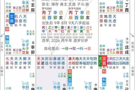 紫薇斗数命理学05