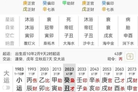 八字看子时,子时去世
