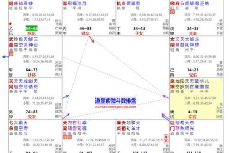 紫薇斗数如何看工作