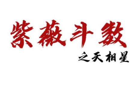 紫薇斗数无煞