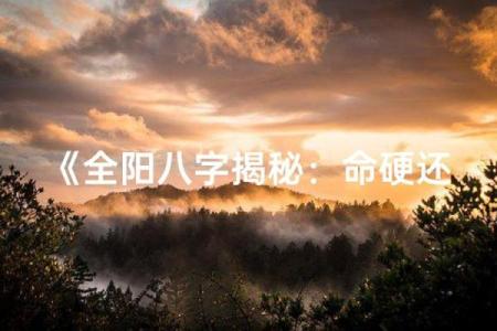 八字全阳的男命 办亊效率高