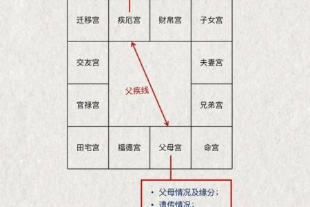 网盘紫薇斗数