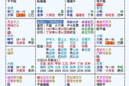 紫微斗数能量组合 紫薇斗数看你的潜能？
