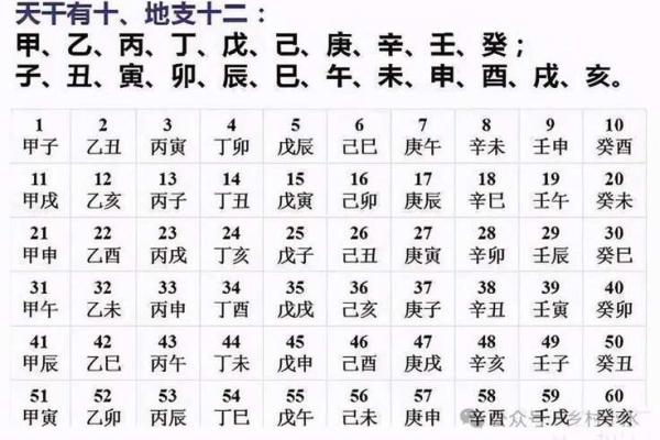 如何根据生辰八字算五行