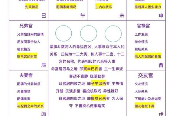 紫微斗数紫薇怎么排