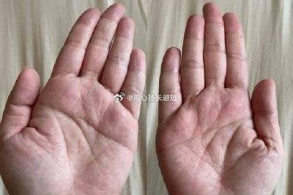 断掌纹看相算命图解