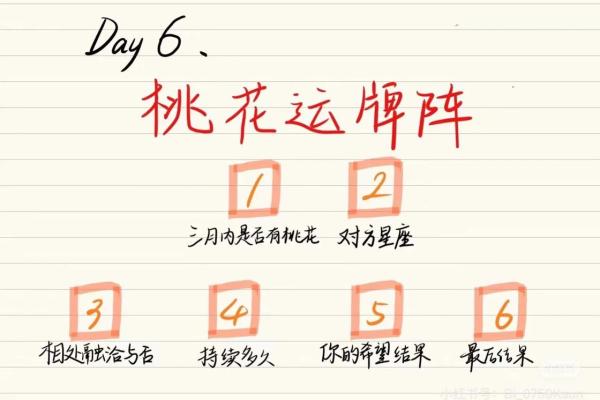 塔罗测试五月学习运