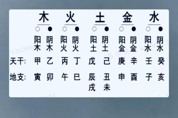 怎么看八字喜什么五行