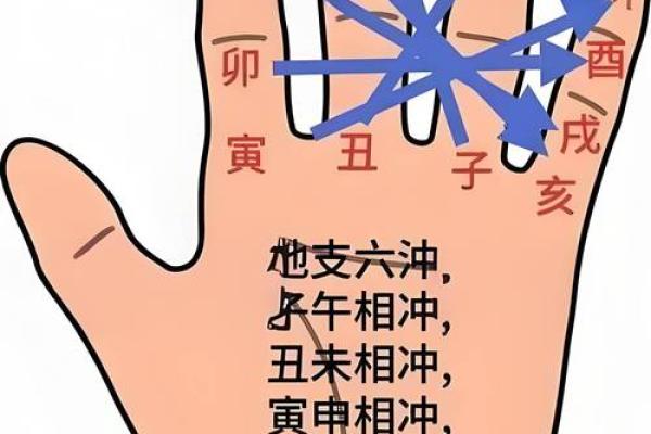 八字十二地支详解