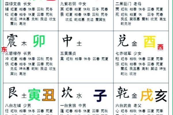 八字十二地支详解