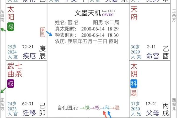 紫薇斗数看创业与否
