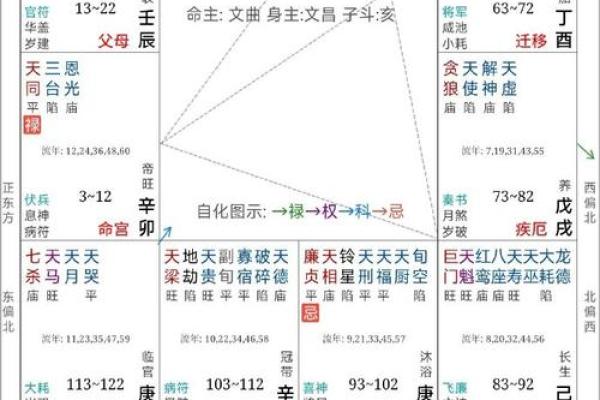 紫薇斗数看子女缘分