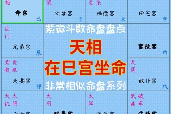 紫微斗数排盘流年 紫微斗数排盘流年盘怎么看？