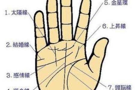图解：手相纵欲线算命