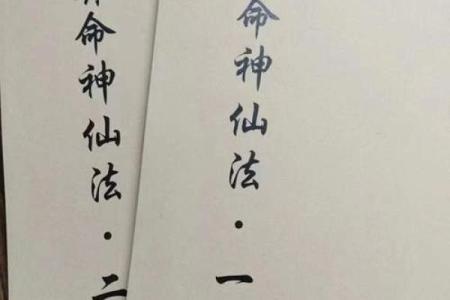 大师给道士算命完整版