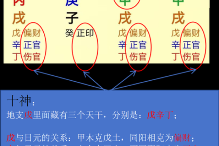 没基础硬学八字！墙都不扶，舅服你。