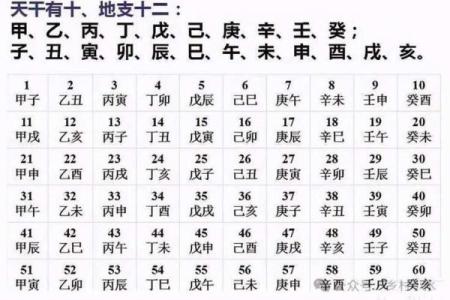 如何根据生辰八字算五行