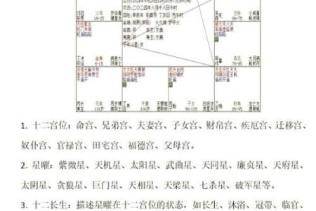 紫薇斗数星宿详解