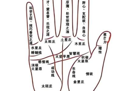 一斗穷二斗富指纹算命 手相运势分析