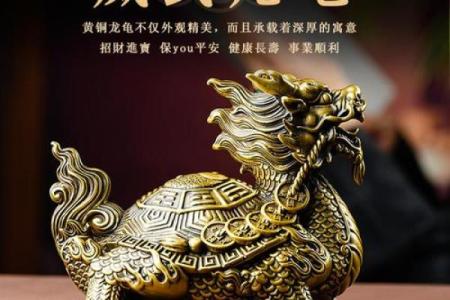 家中风水龙龟的摆放方法及禁忌