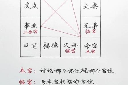 什么四语和紫薇斗数